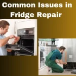 Common Issues in Fridge Repair International City Al Barari Dubai