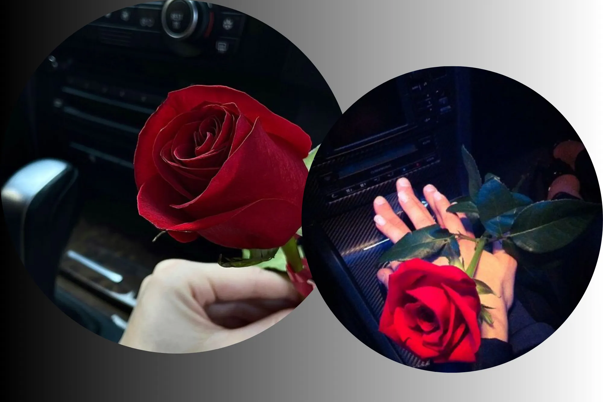 Why UAE residents trust Red Rose for auto services