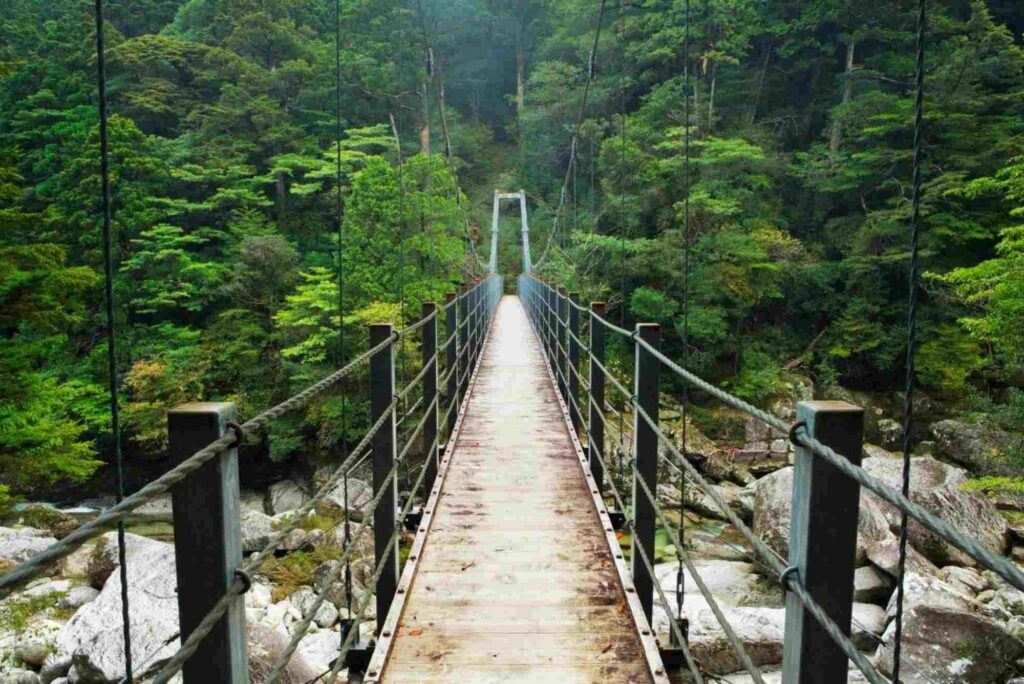 A Photoâ€‘Essay: Stunning Trails Across Japan You Need to See