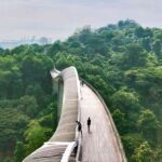 Top 10 Hikes In Singapore — Must-Do Trails For Every Level