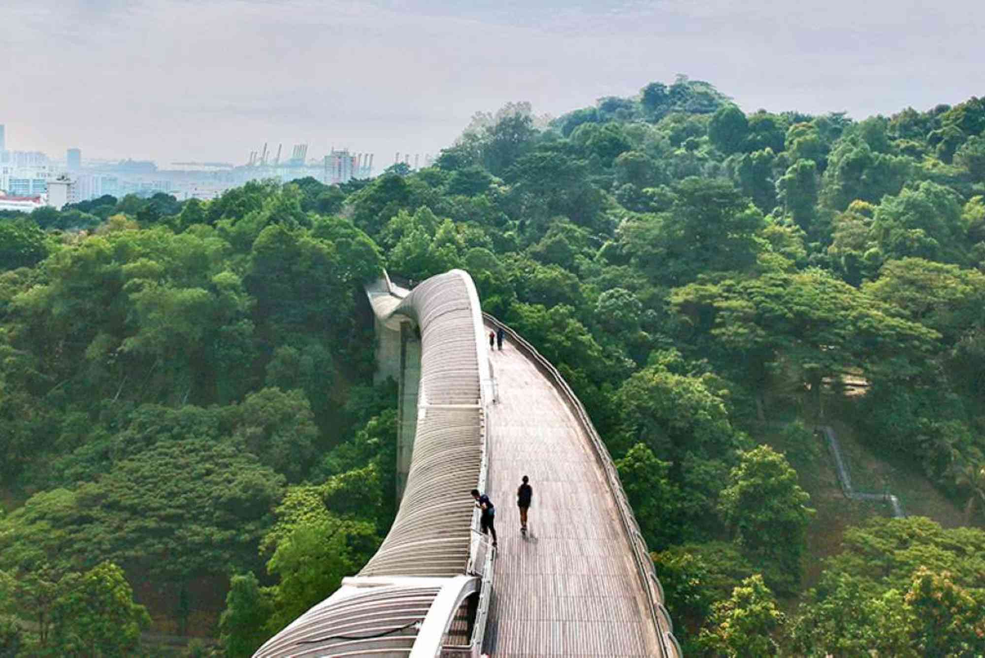 Top 10 Hikes In Singapore — Must-Do Trails For Every Level