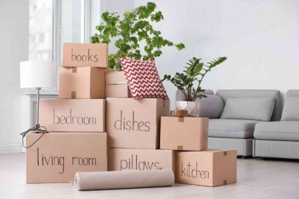 How to Plan For Local movers and Packers